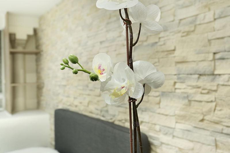 Studio Le Marais By Studio Prestige Paříž Exteriér fotografie